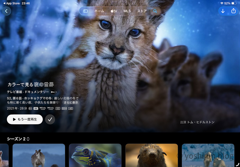 カラーで見る夜の世界