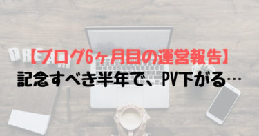 【ブログ6ヶ月目の運営報告】記念すべき半年で、PV下がる…